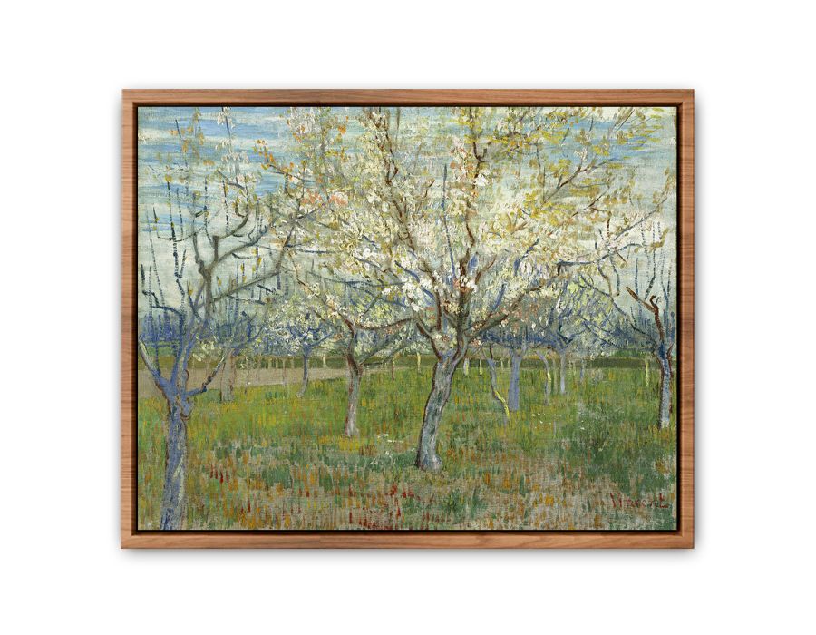 Pink & The White Orchard By Vincent Van Gogh Streched canvas