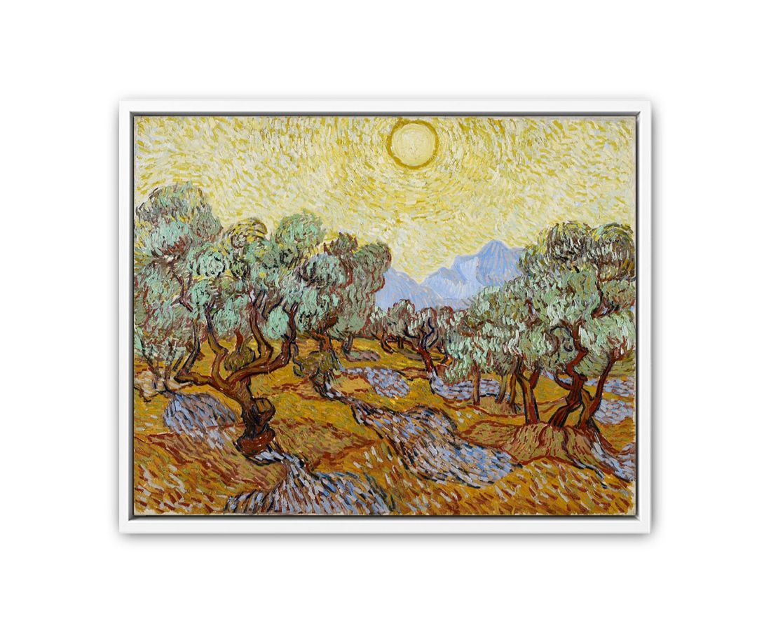 Olive Trees / Olive Trees with yellow sky and sun By Vincent Van Gogh Art Print