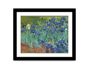 Irises By Van Gogh Painting Canvas Print