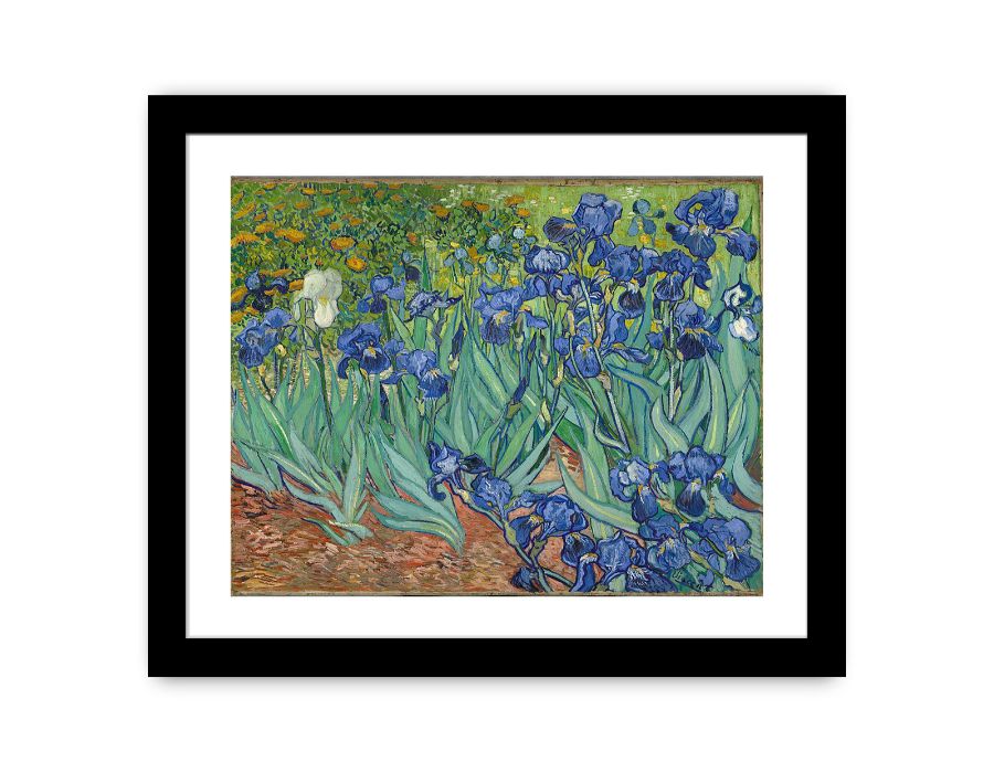 Irises By Van Gogh Painting Canvas Print