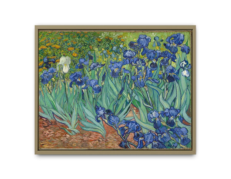 Irises By Van Gogh Painting Oil Painting