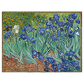 Irises By Van Gogh Painting