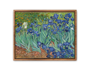 Irises By Van Gogh Painting Streched canvas
