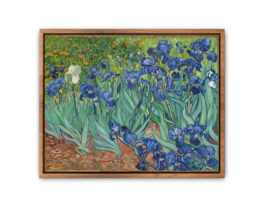 Irises By Van Gogh Painting Streched canvas