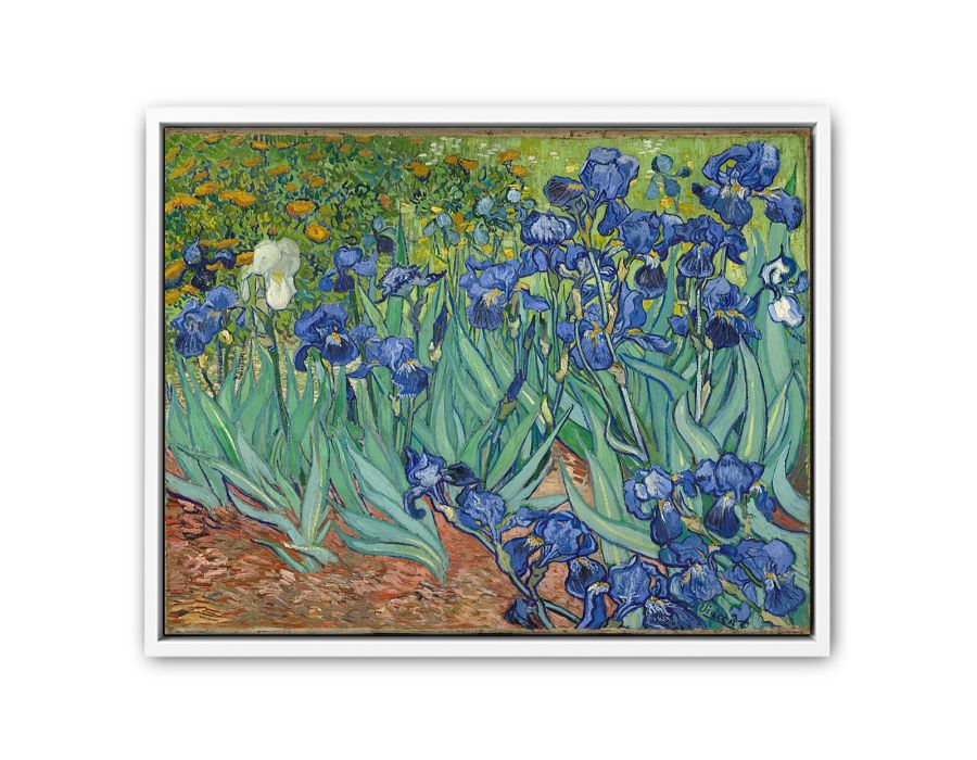 Irises By Van Gogh Painting Art Print