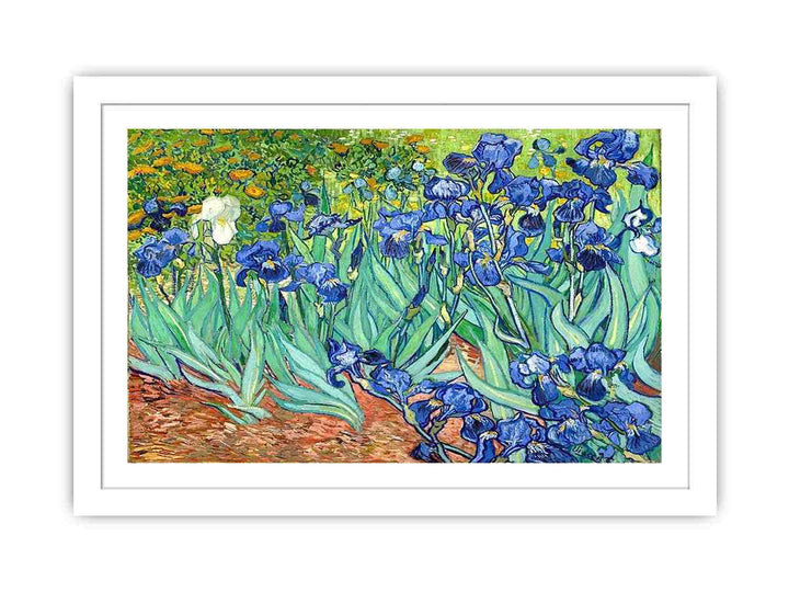 Irises By Van Gogh Painting