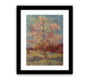 Peach Tree in Blossom / Flowering Peach Tree By Vincent Van Gogh Canvas Print