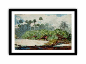 Florida Jungle