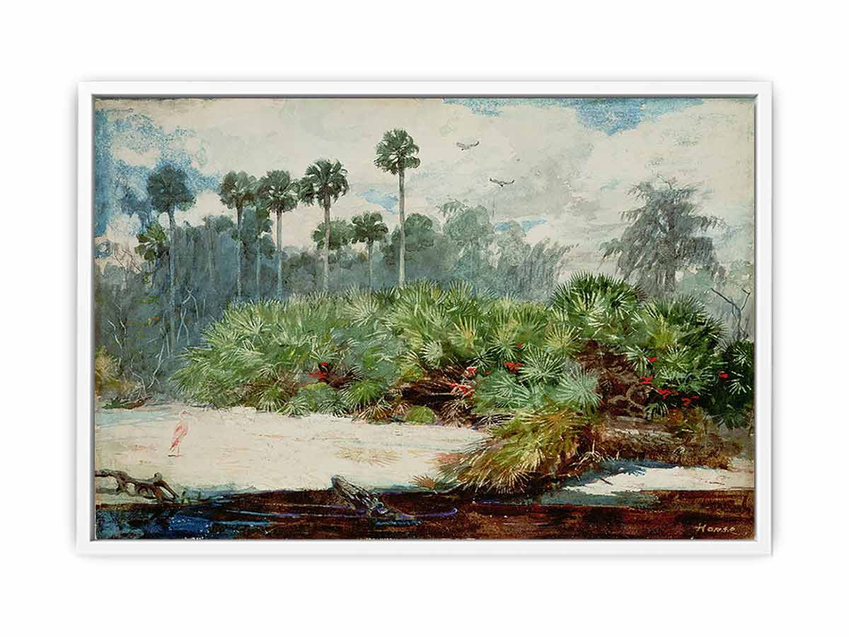Florida Jungle