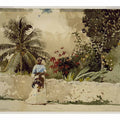 On the Way to Market, Bahamas