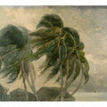 A 'Norther', Key West