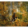On the Trail