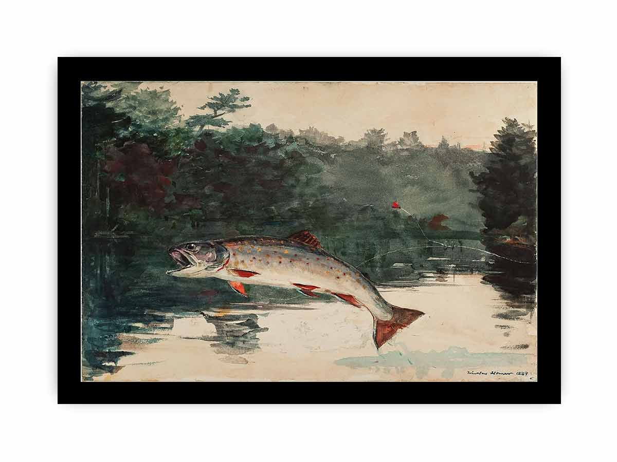 Leaping Trout