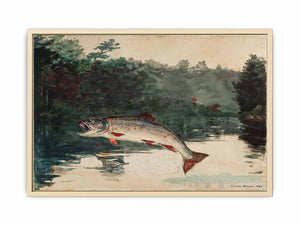 Leaping Trout