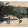 Leaping Trout