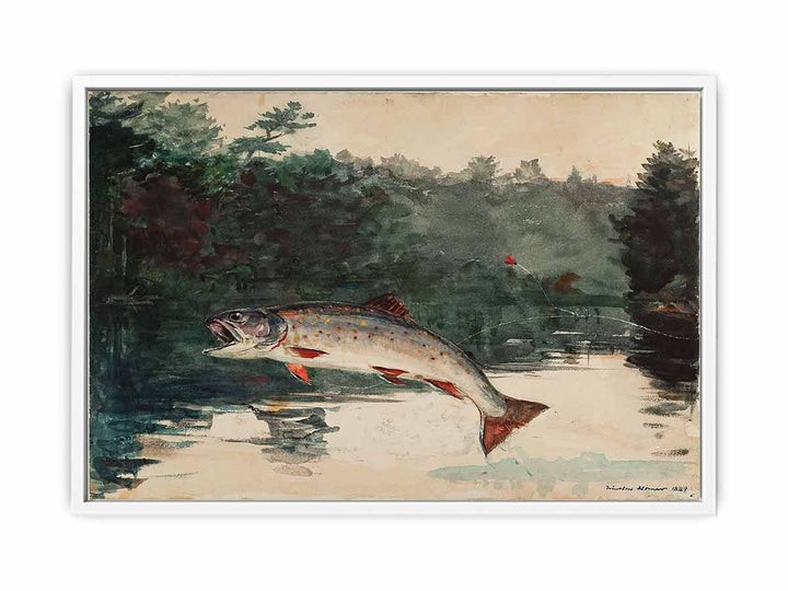 Leaping Trout