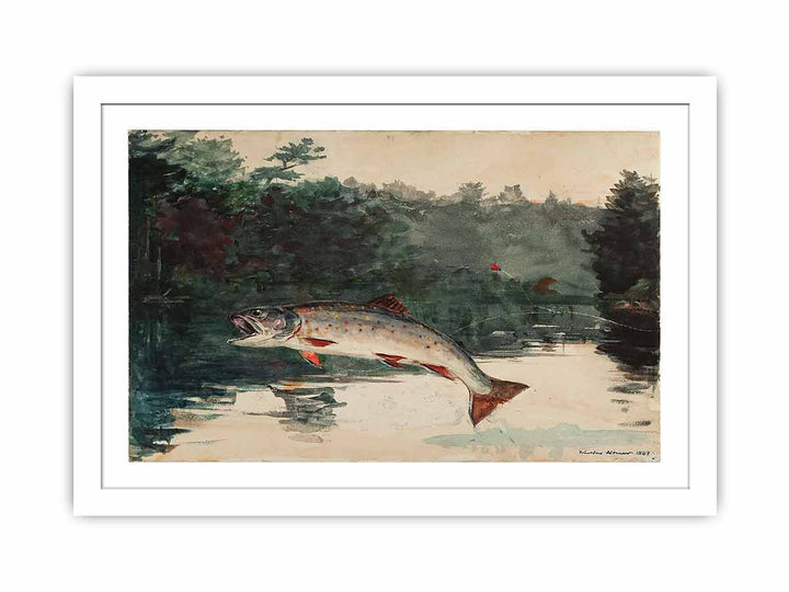 Leaping Trout