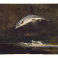Jumping Trout