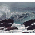 	
Maine Coast