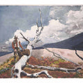 Woodsman and Fallen Tree