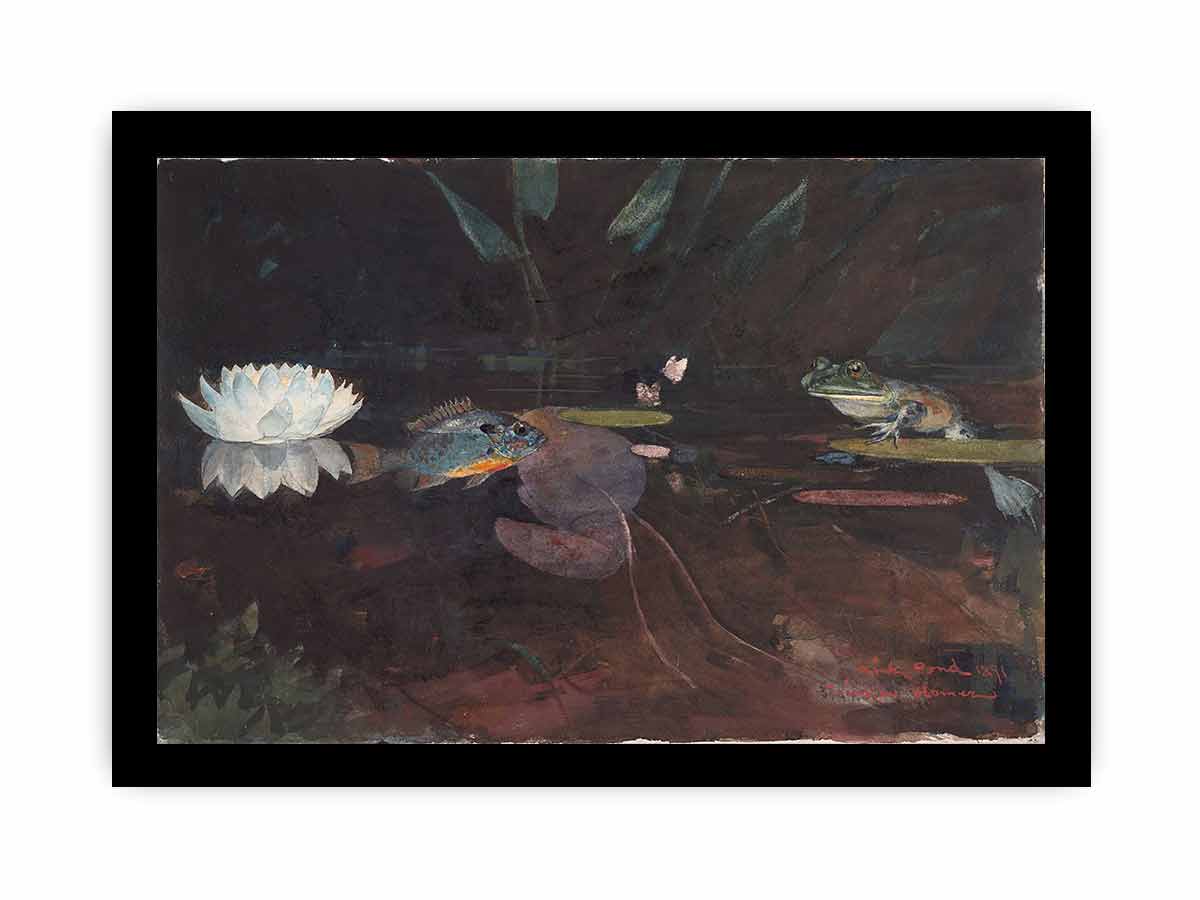 Mink Pond