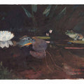 Mink Pond