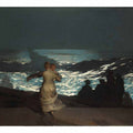 Summer Night