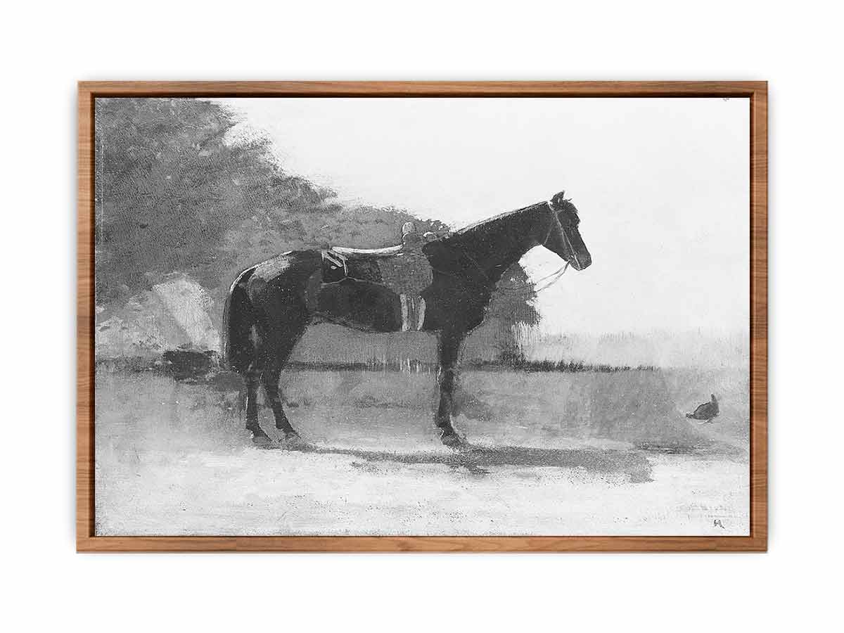Saddle Horse in Farm Yard