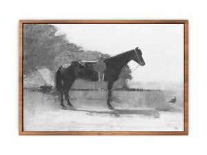 Saddle Horse in Farm Yard