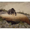 Bear and Canoe