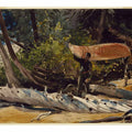End of the Portage