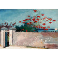 A Wall, Nassau
