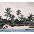 Key West, Negro Cabins and Palms
