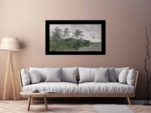 Coconut Palms