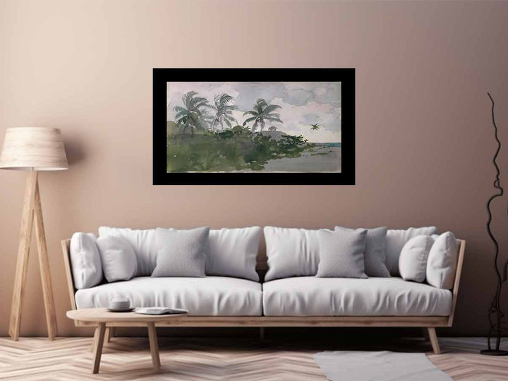 Coconut Palms