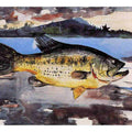         
Bass