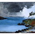 The Coming Storm