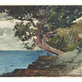 Bermuda