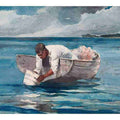 The Water Fan