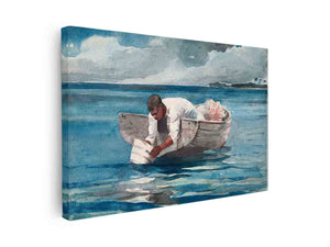 The Water Fan