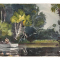 Homosassa Jungle