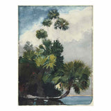 Palm Trees, Florida artwork preview