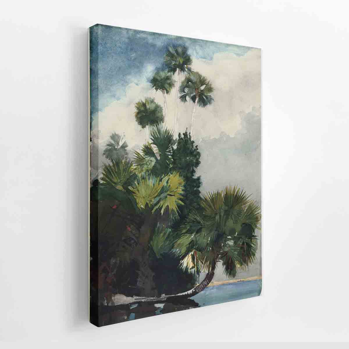 Palm Trees, Florida