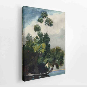 Palm Trees, Florida
