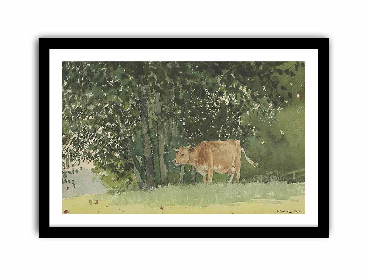 Cow in Pasture