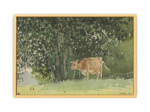 Cow in Pasture