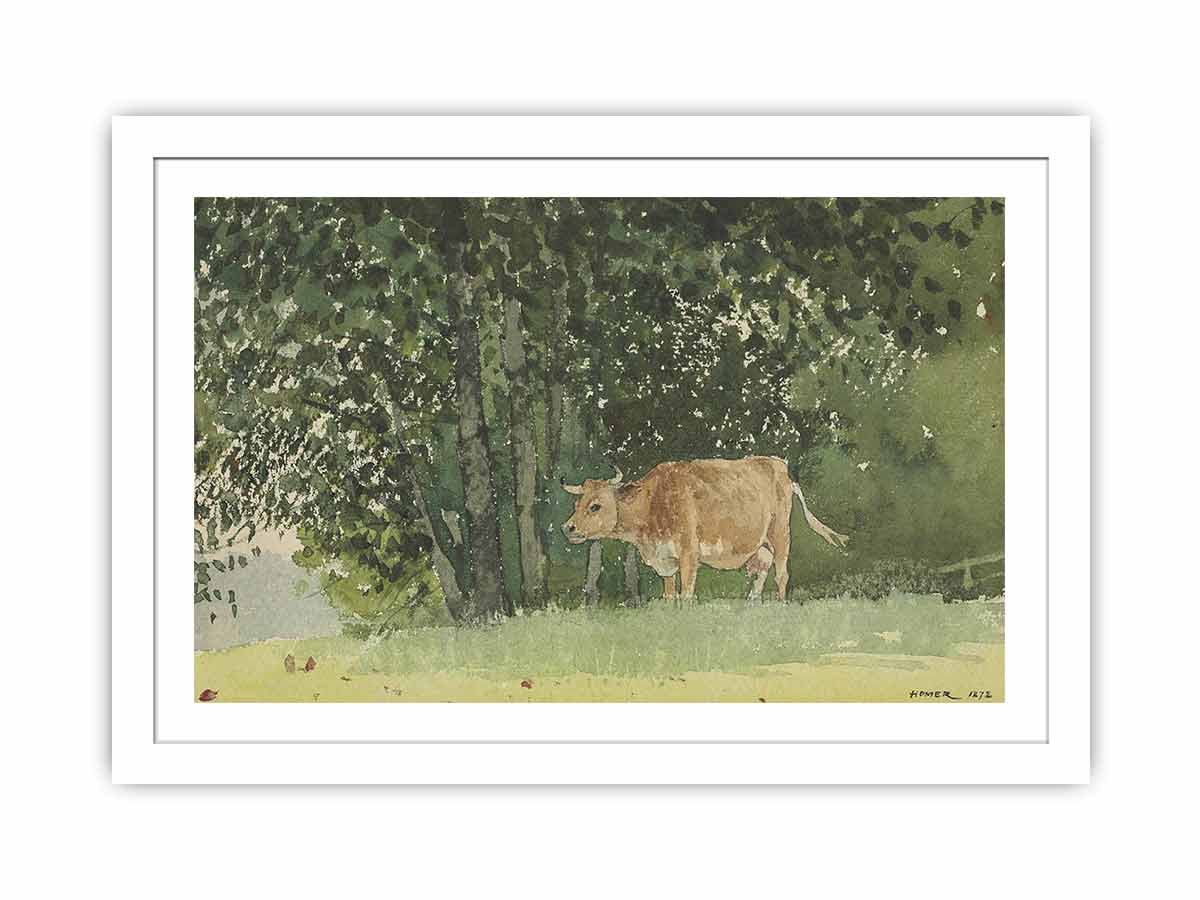 Cow in Pasture
