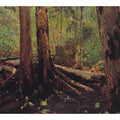 Woodchopper in the Adirondacks