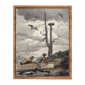 The Eagle's Nest / Osprey's Nest
