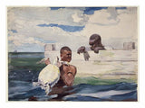 The Turtle Pound artwork preview